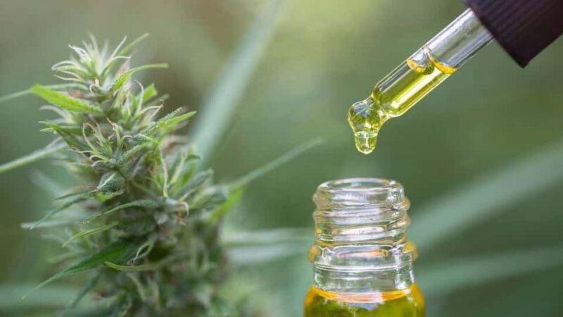 שמן CBD