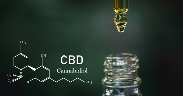 כל מה שרציתם לדעת על צריכת שמן CBD ולמי זה מומלץ